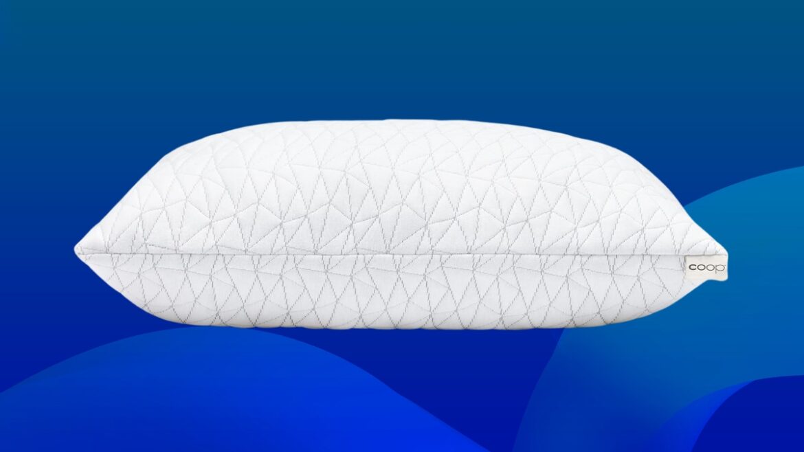 Coop Home Goods Original Adjustable Pillow