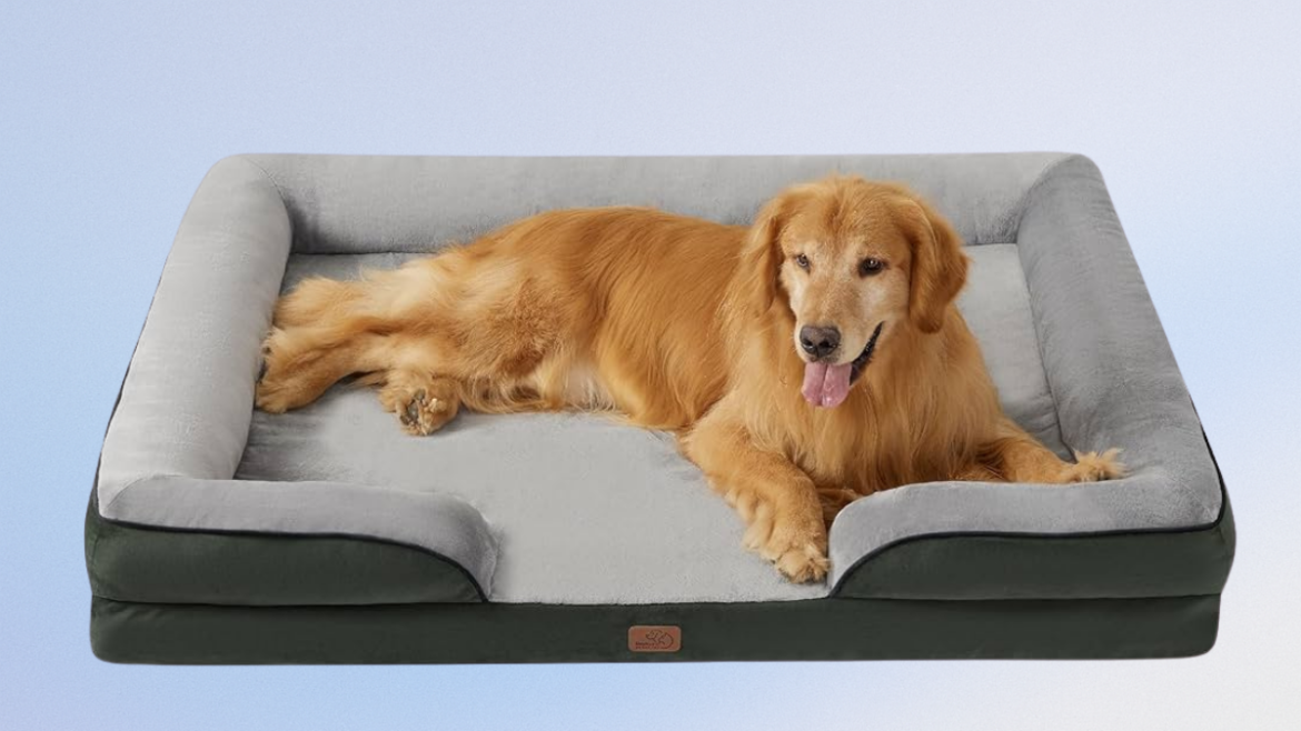 Bedsure XXL Orthopedic Dog Bed for Extra Large Dogs